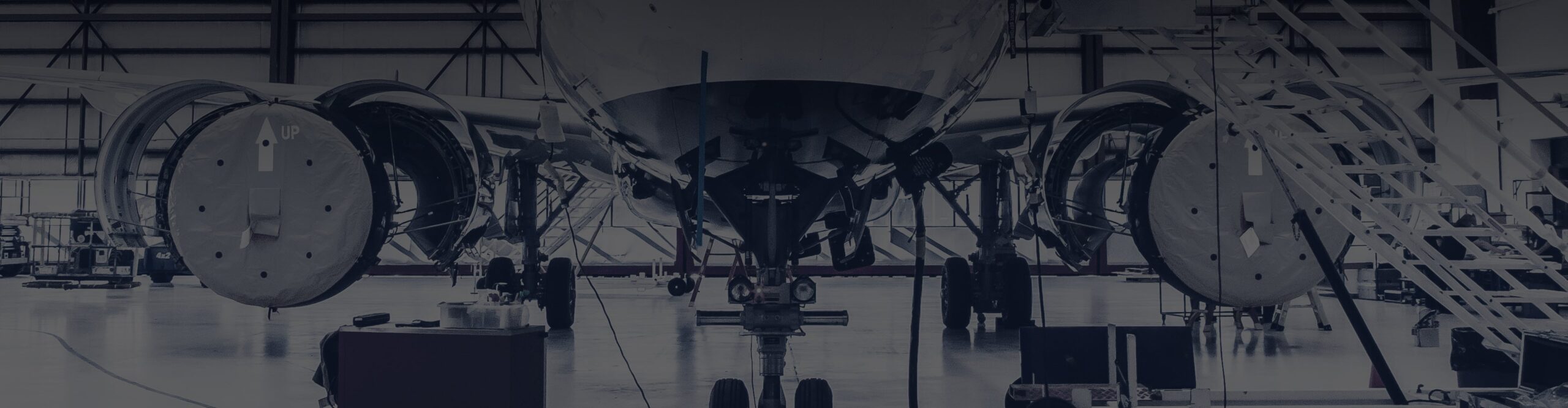 Avianor