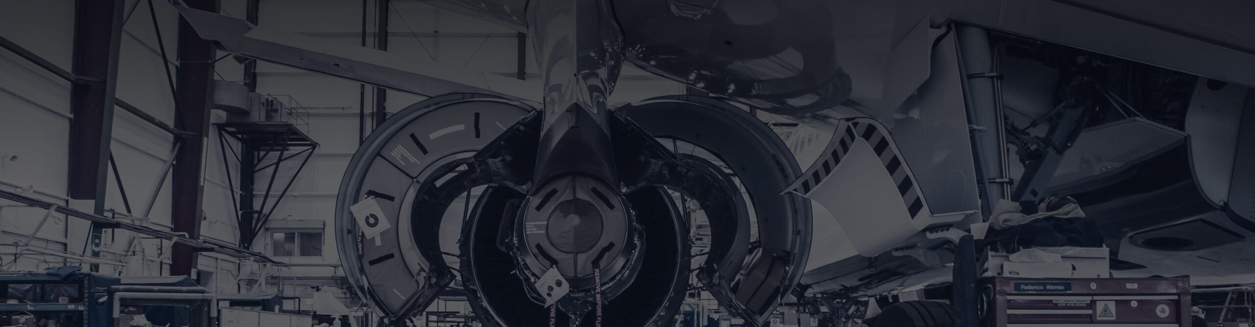 Expertise Avianor